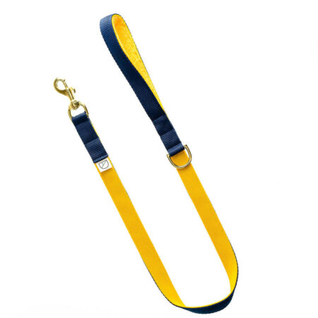 Luxury yellow blue WEBBING Dog LEAD