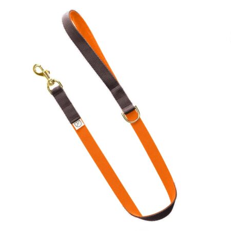 Luxury grey orange WEBBING Dog LEAD