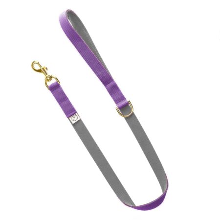 Luxury gray purple WEBBING Dog LEAD