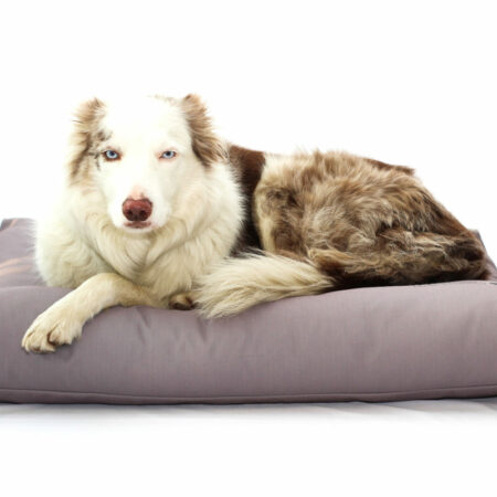 Luxury dog cushions