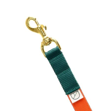 Luxury WEBBING Dog LEAD