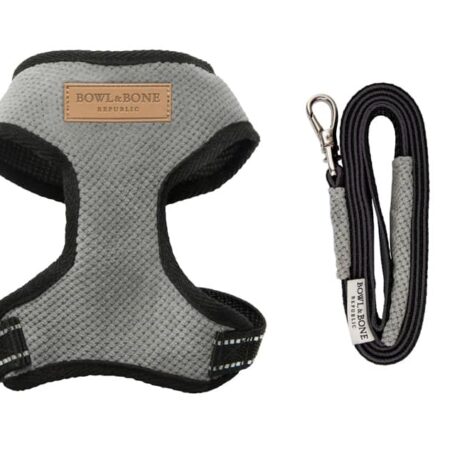 Designer dog harnesses