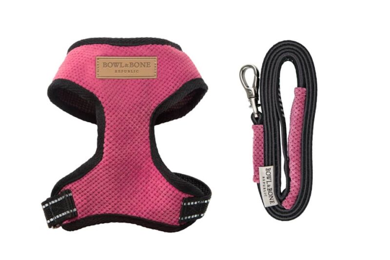 Designer dog harnesses