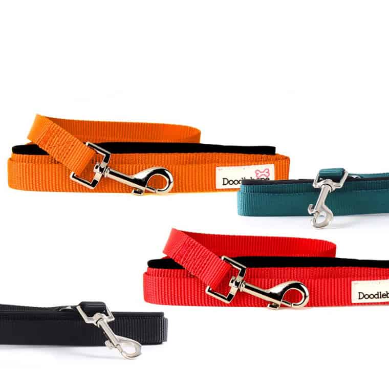 Bold Colours - Dog leads