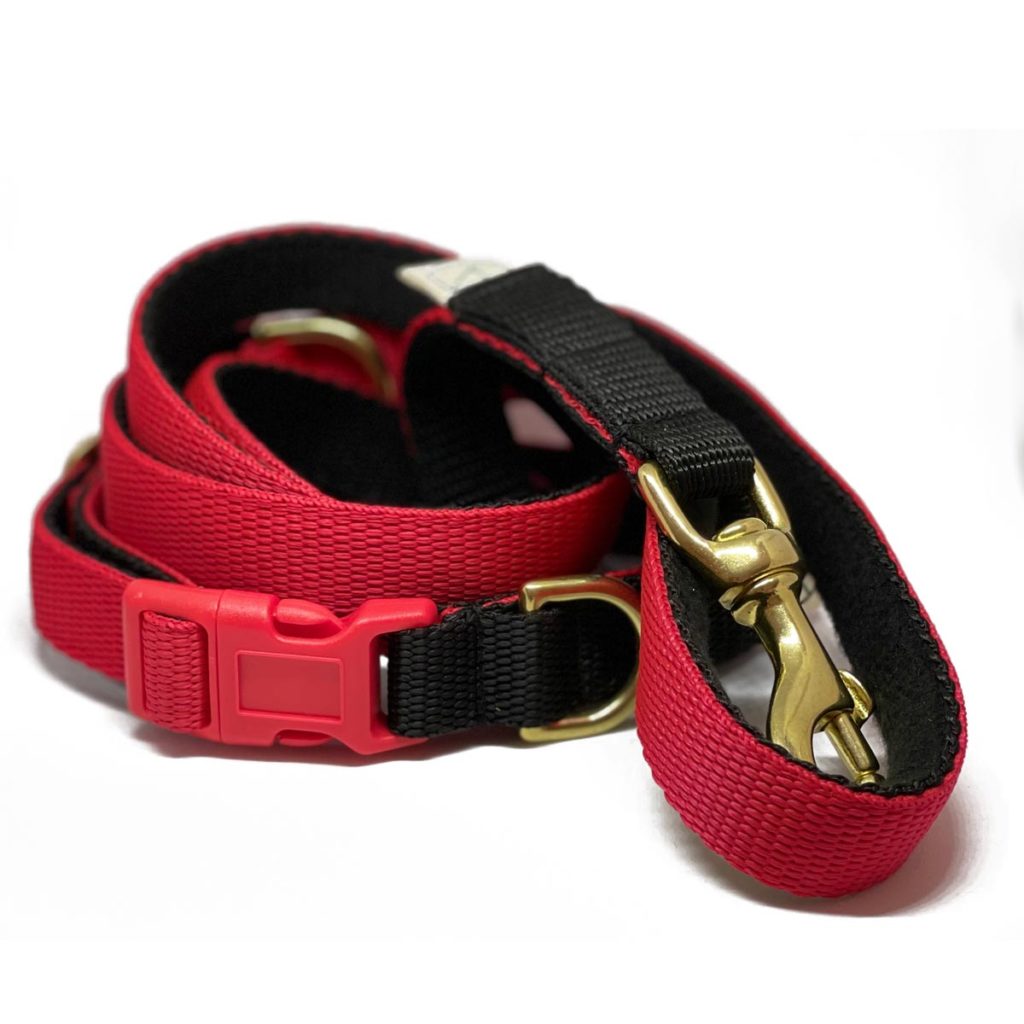 Dog collars and leads