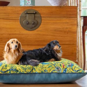 Luxury dog bed