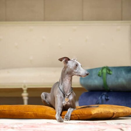 Dog travel beds, play mats & crate mattresses