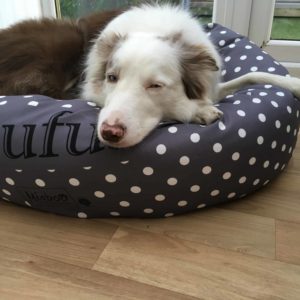 Charcoal grey spotty donut dog bed