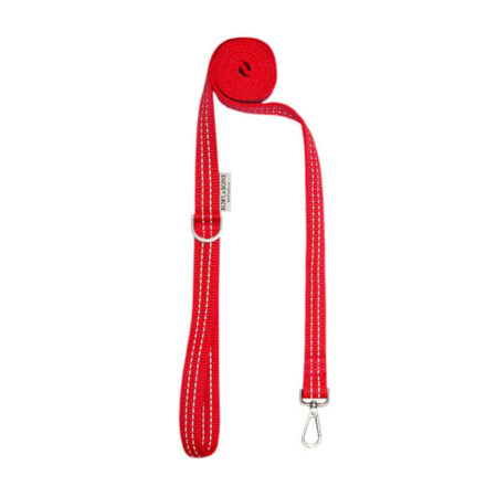dog lead red