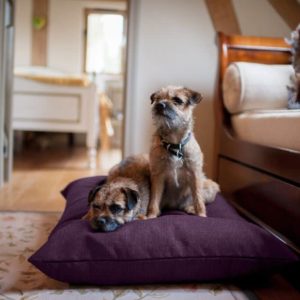 Heather purple twist dog cushion bed. Luxury Dog Beds UK