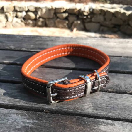 Small dog collars