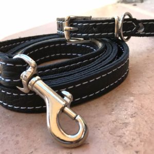 PUPPY LEATHER COLLAR AND LEADSET