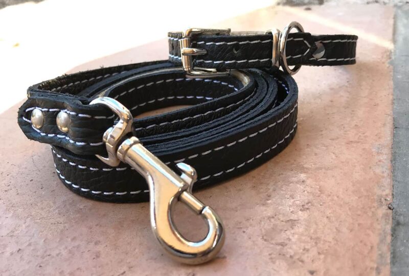 PUPPY LEATHER COLLAR AND LEADSET