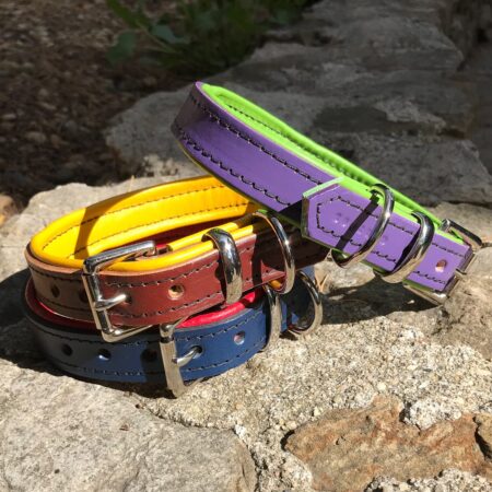 Luxury dog accessories