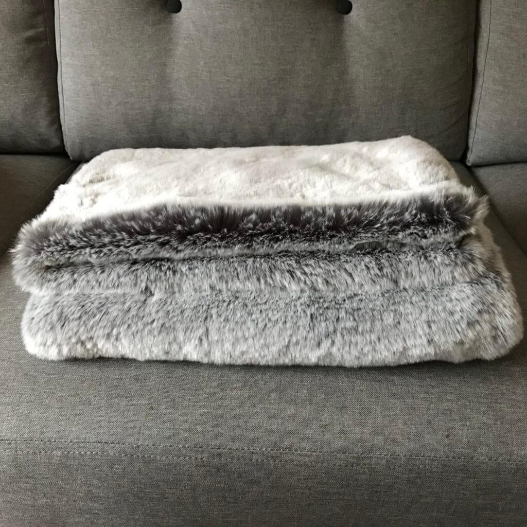 Grey squirrel dog blanket