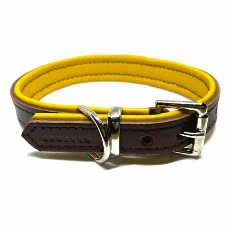 Luxury dog collars