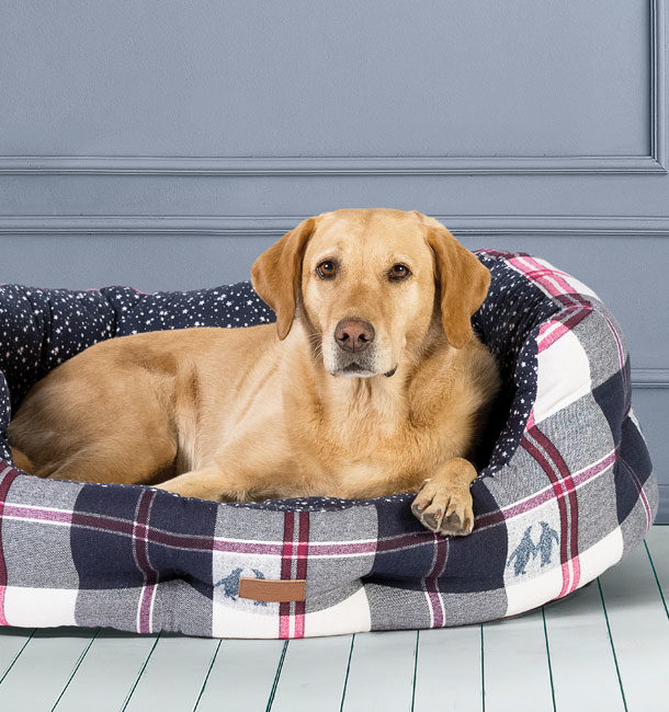 FatFace dog beds