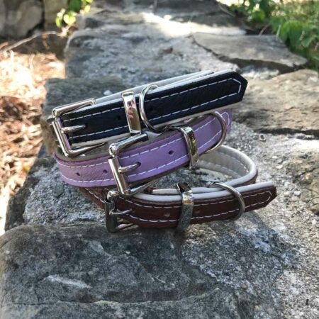 Leather dog collars