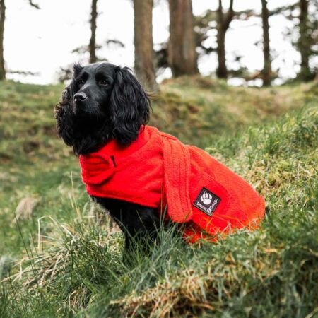Dog drying robe