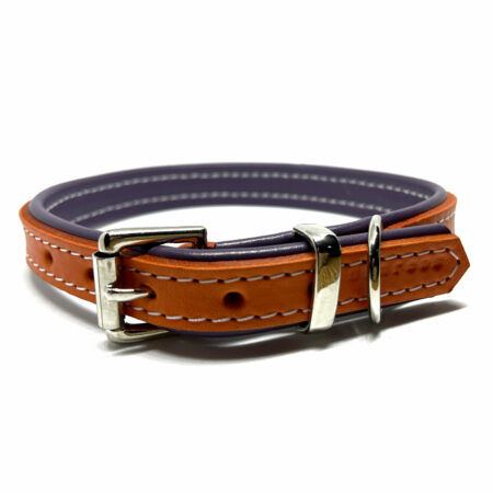 Designer dog collars
