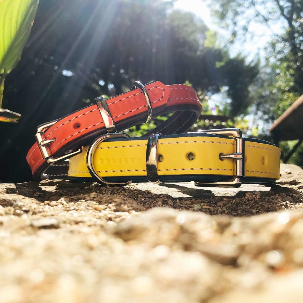 How to use a slip lead correctly The Stylish Dog Company