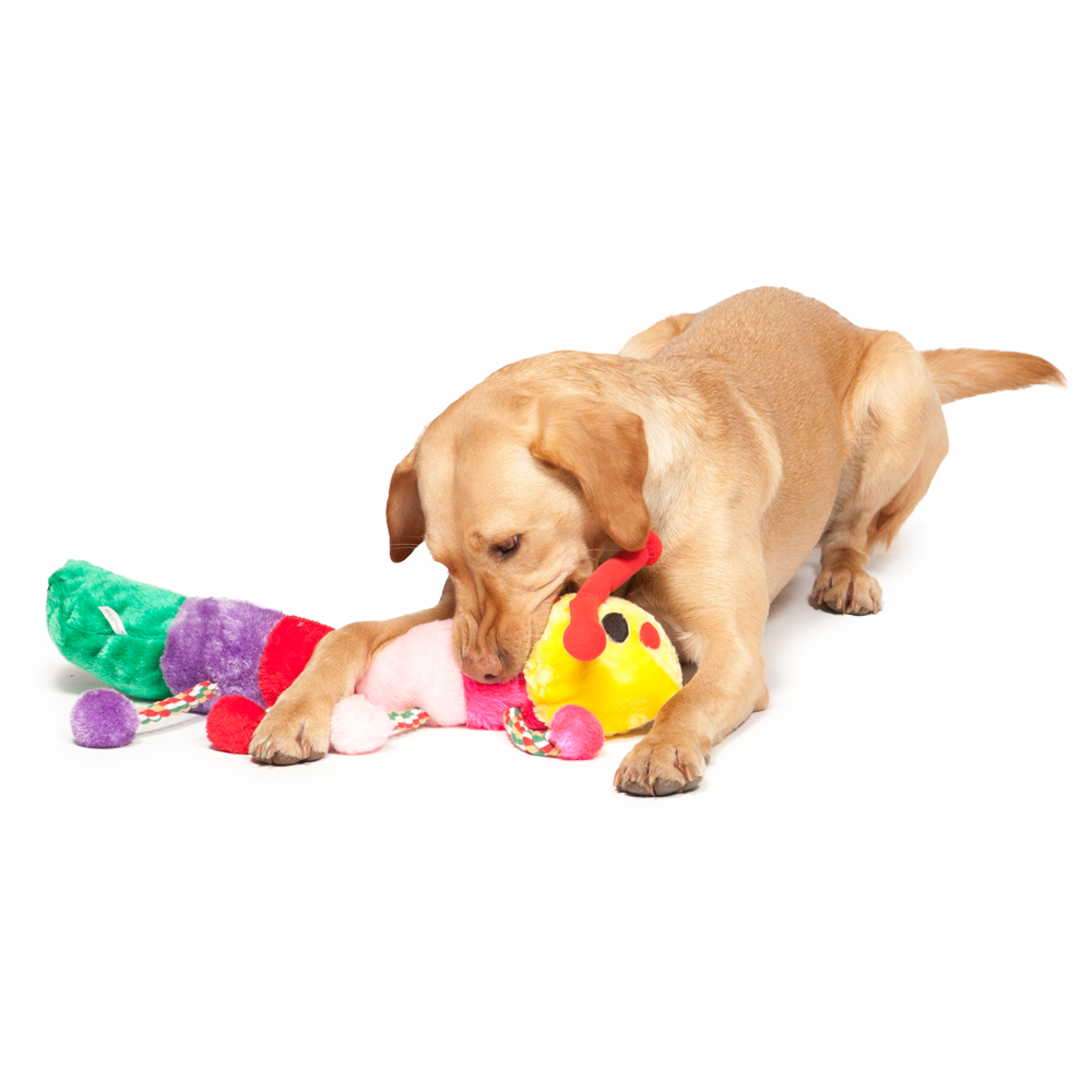 Animal plush dog toys