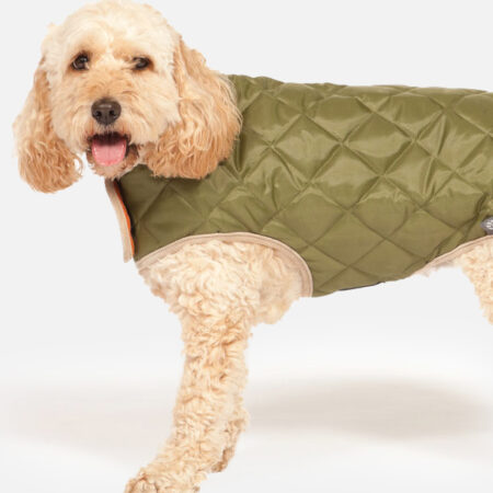 Forest Green Quilted Dog Coat