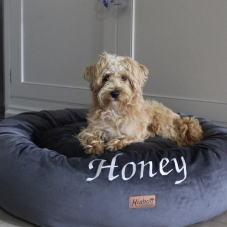 Luxury grey donut bed in velvet