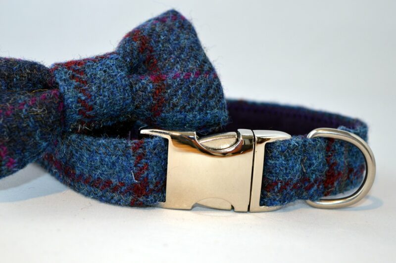 Blue tweed dog collar