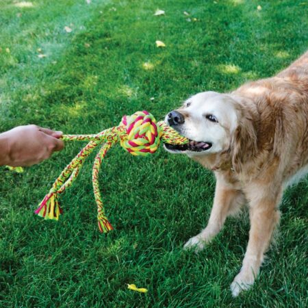 dog toy colorfoul rope