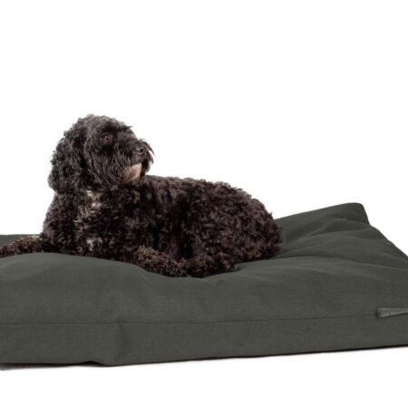 green dog bed cushion