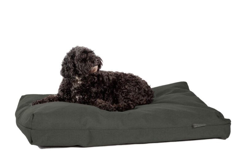 green dog bed cushion