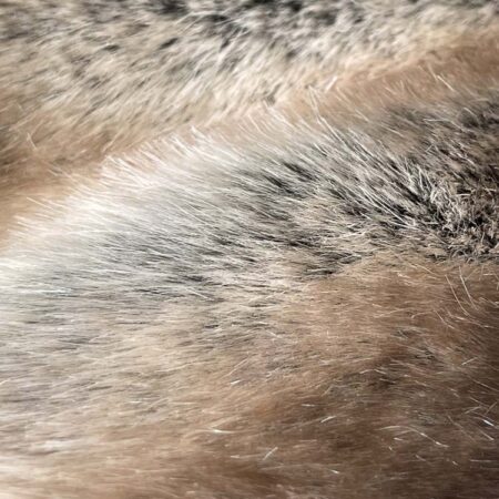 Chelsea faux fur luxury dog blanket