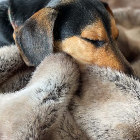 Faux fur dog blankets