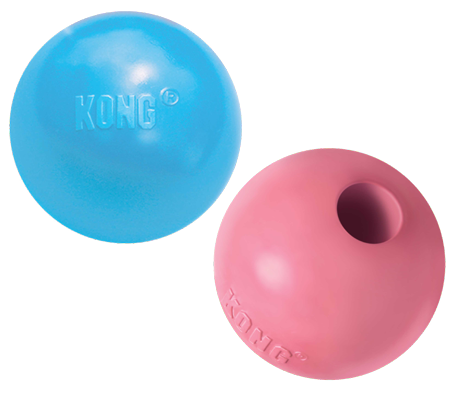 Kong puppy toy ball
