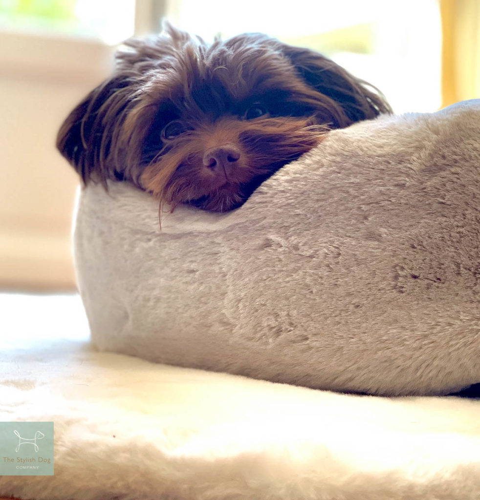 Luxury silver faux fur donut dog bed by The Stylish Dog Company | Silver softee