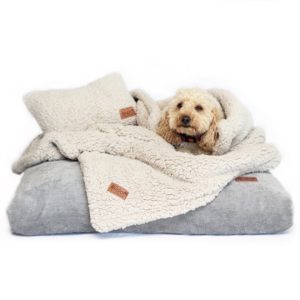 Designer dog beds