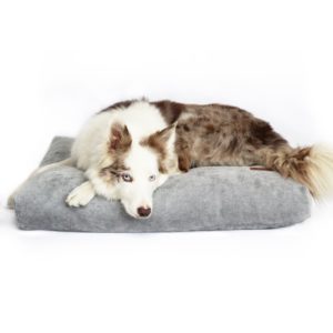 Grey dog bed