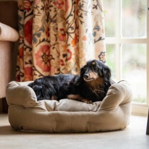 Luxury bolster dog beds
