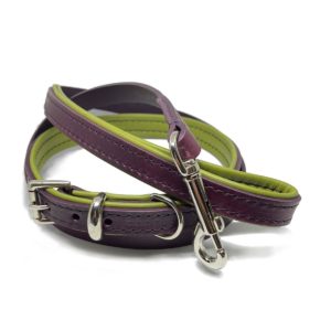 Leather dog collars