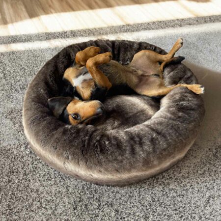Luxury dog beds