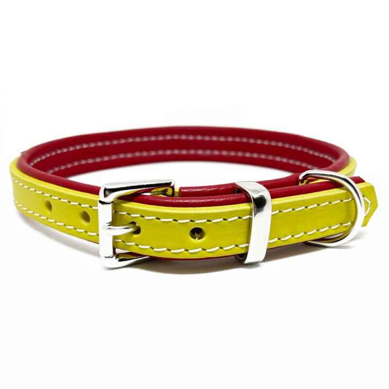 Luxury dog collars and leads