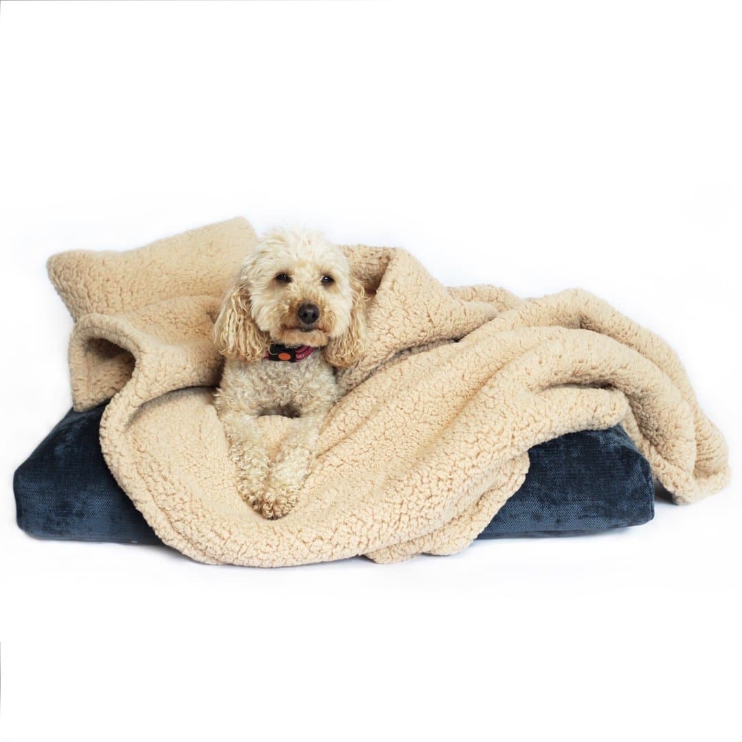 Luxury dog beds