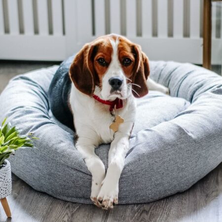 Grey luxury donut dog bed