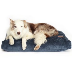 Luxury blue dog beds
