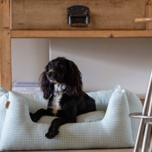 Luxury Bolster Dog Beds