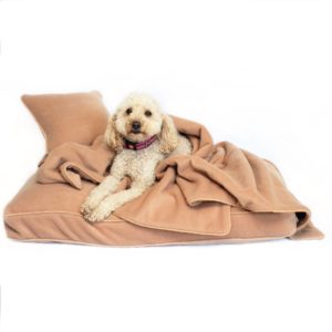 Luxury dog beds