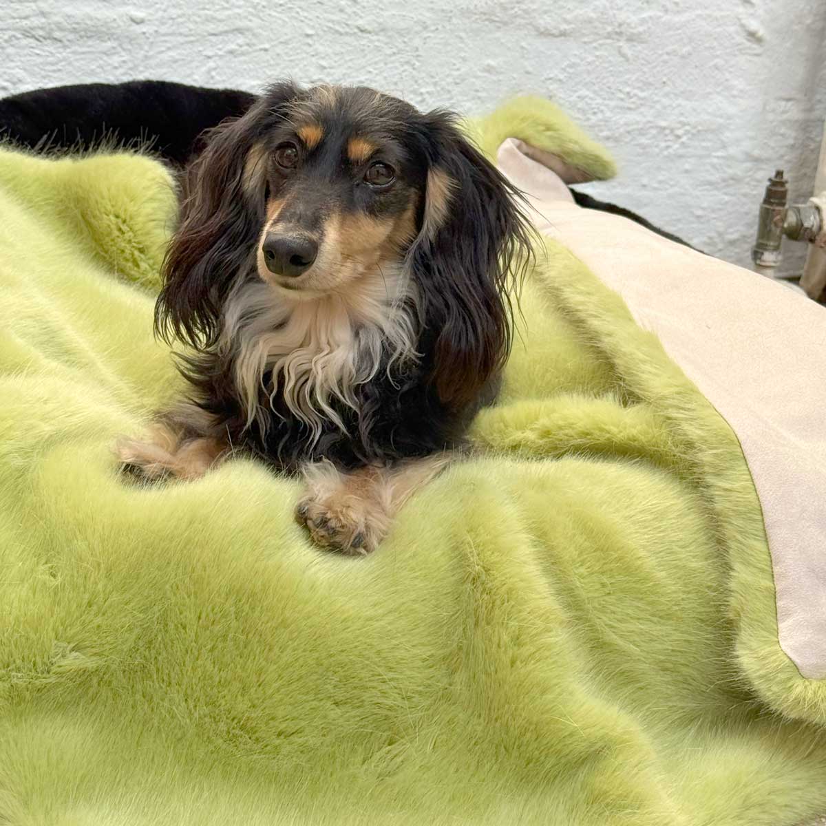 Faux Fur Calming Dog Blankets