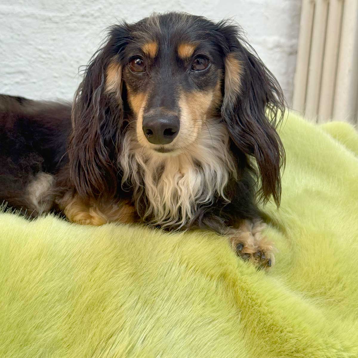 Faux Fur Calming Dog Blankets