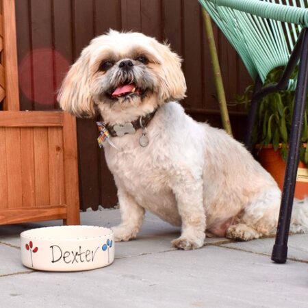 Personalised dog bowls
